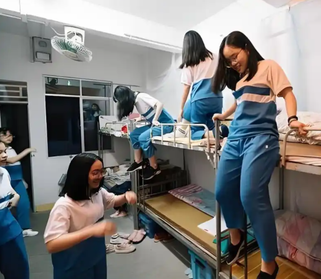 开发与使用在实践教育课程开发教育改革